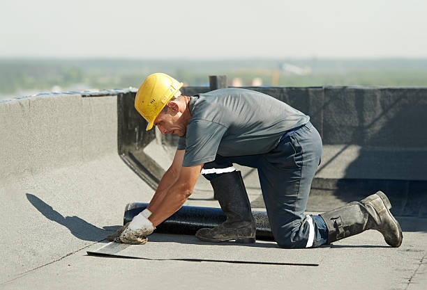 Best Blown-in Insulation  in Hawkinsville, GA